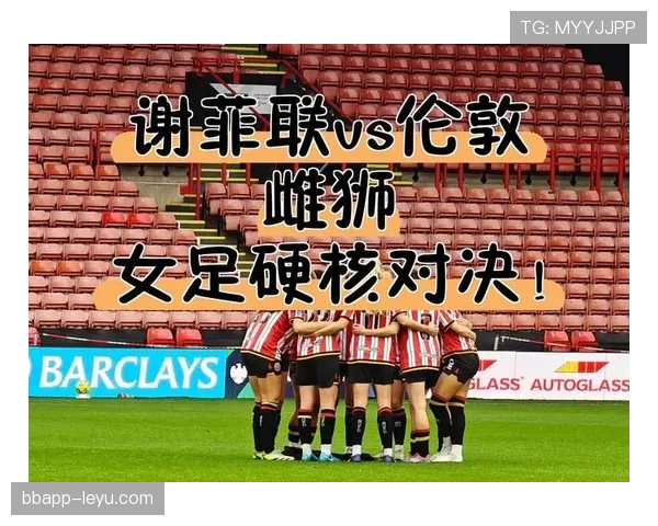 谢菲联布拉莫巷吼声